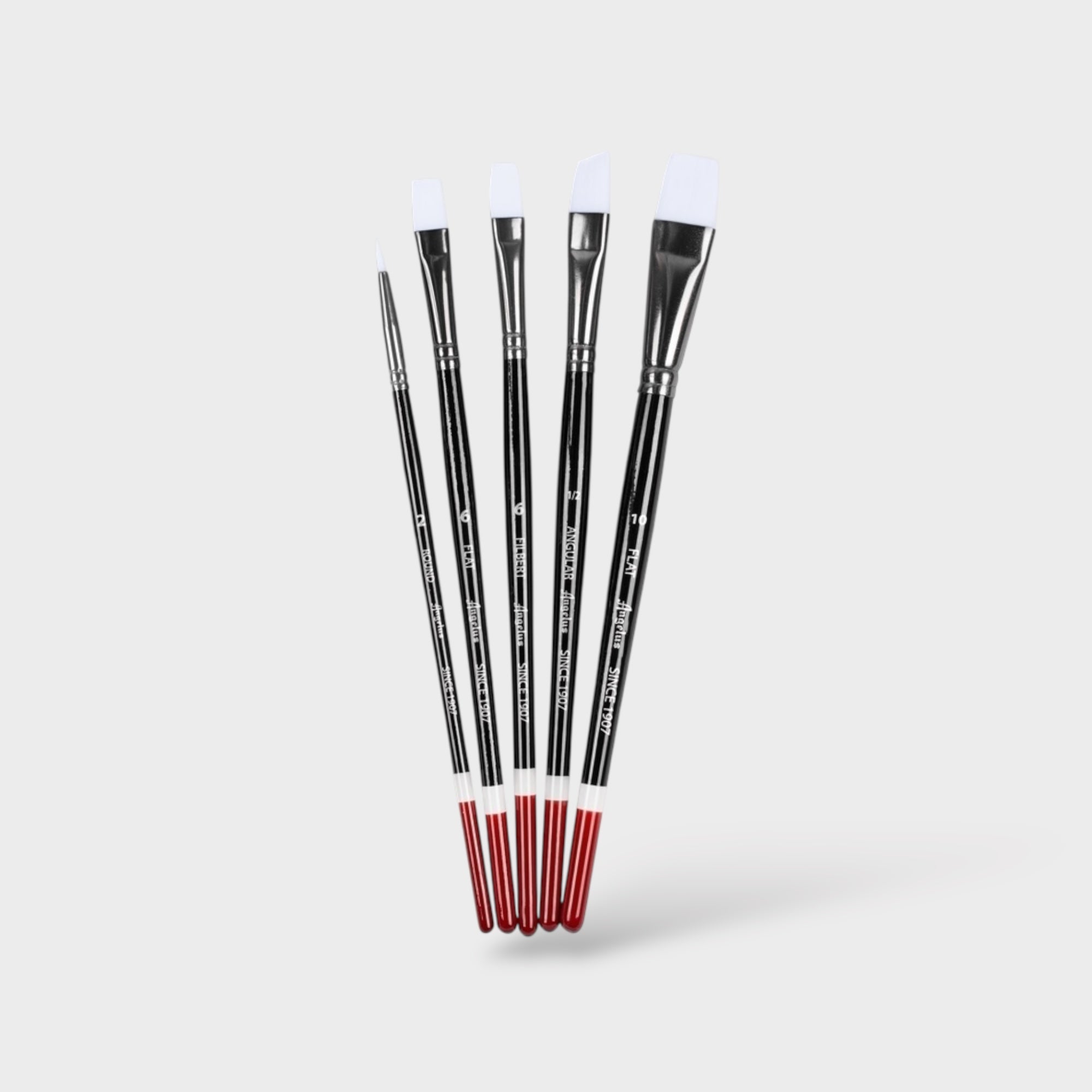 Angelus Paint Brushes 5 Piece Set