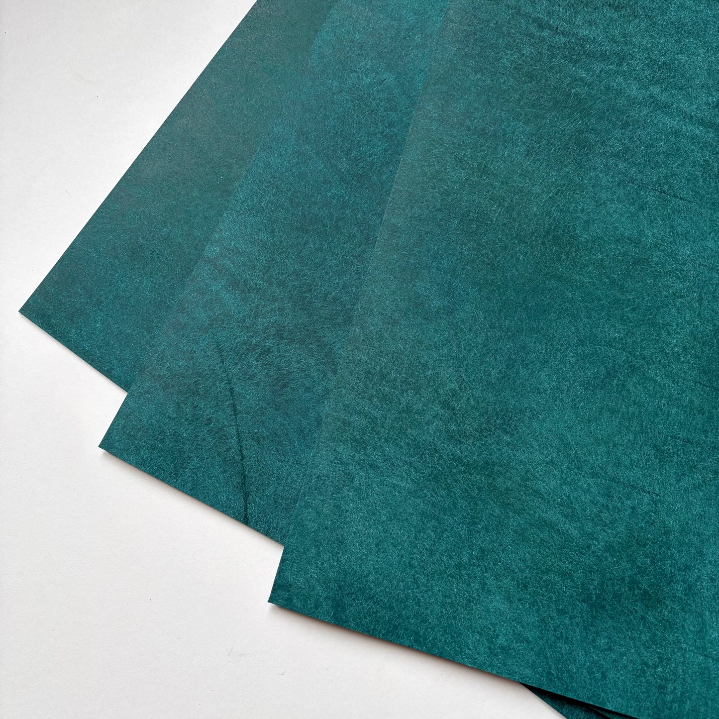 Badalassi Carlo Pueblo Vegetable Tanned Leather – Ortensia