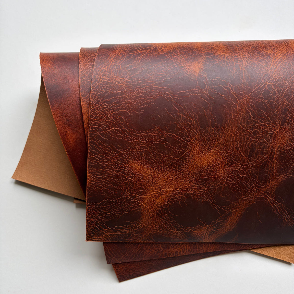 Badalassi Carlo Wax Leather