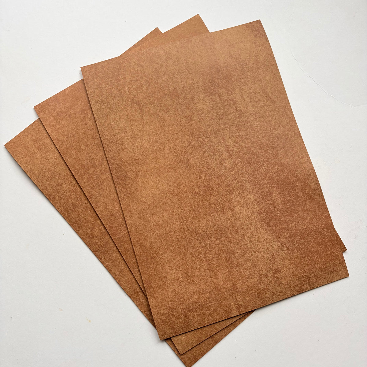 Badalassi Carlo Pueblo Vegetable Tanned Leather – Cognac