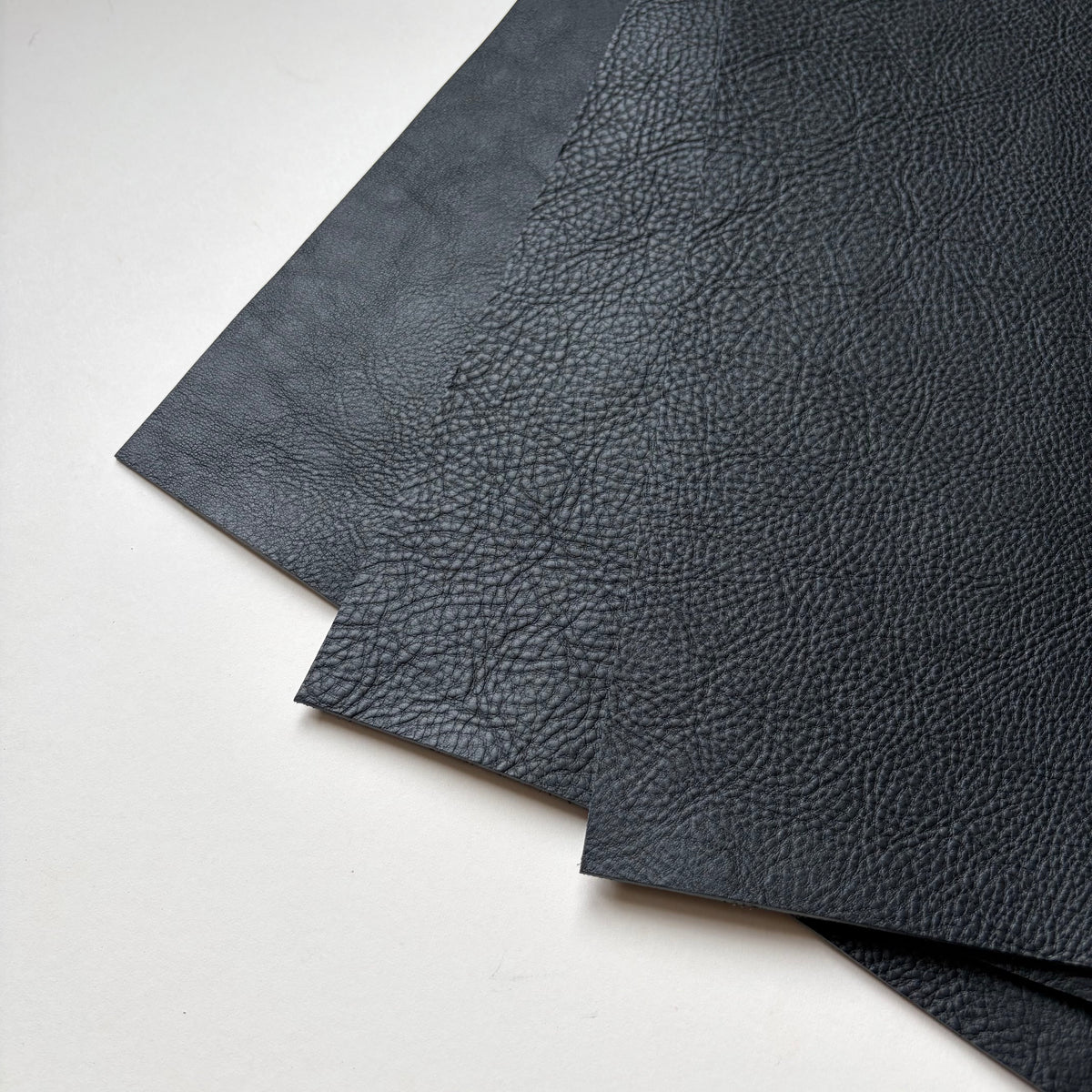 Badalassi Carlo Minerva Box in Black | Nero