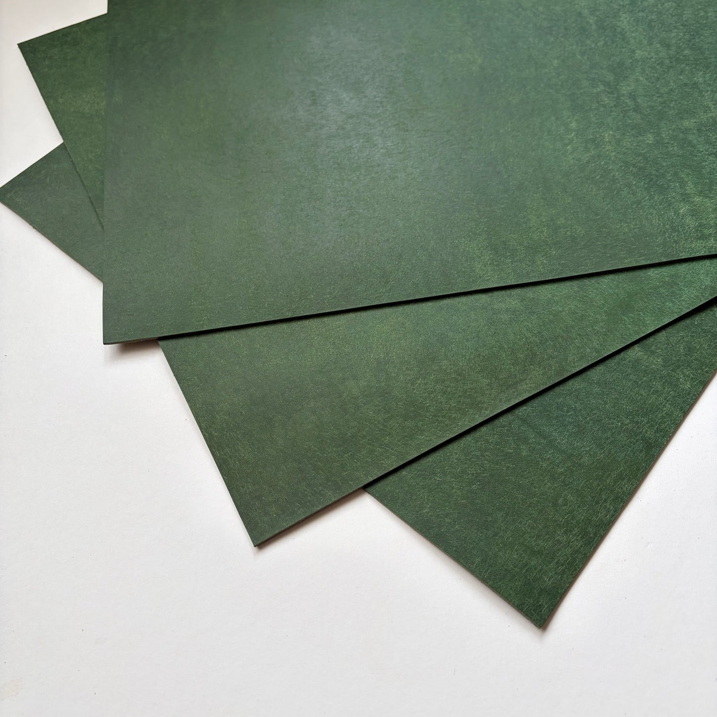 Badalassi Carlo Pueblo Vegetable Tanned Leather – Bottiglia