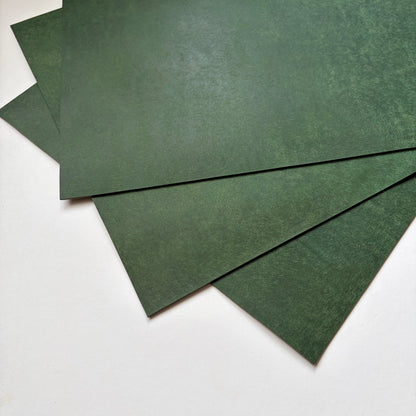 Badalassi Carlo Pueblo Vegetable Tanned Leather – Bottiglia