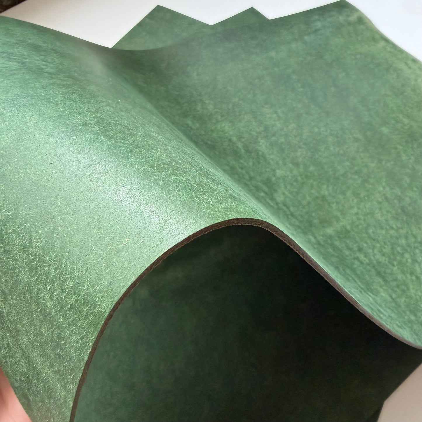 Badalassi Carlo Pueblo Vegetable Tanned Leather – Bottiglia