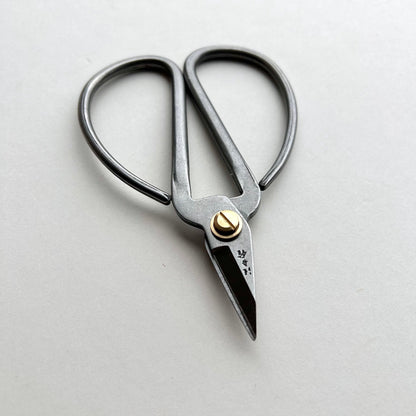 Pair of silver scissors with a gold screw on a light gray background