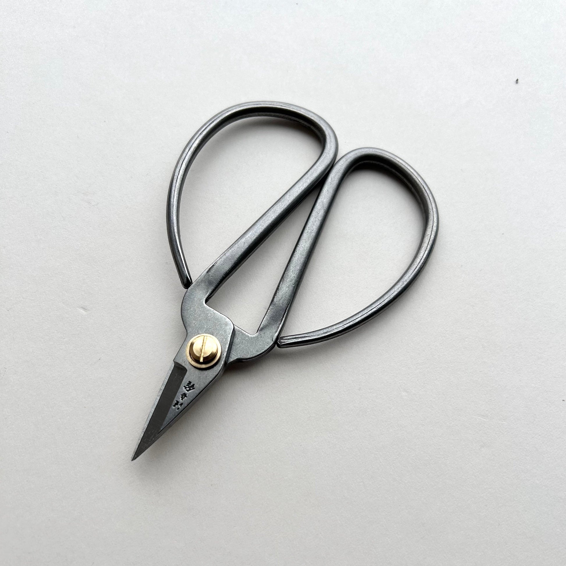 Pair of silver scissors with a gold screw on a light gray background