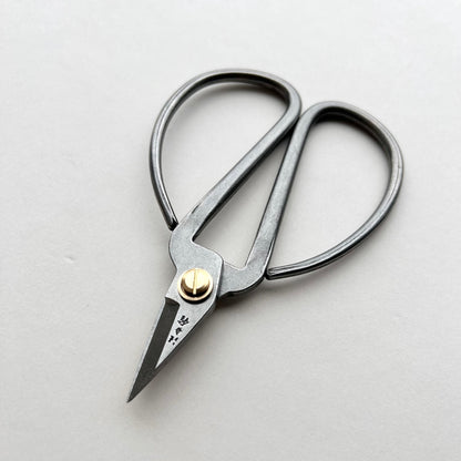 Pair of silver scissors with a gold screw on a light gray background