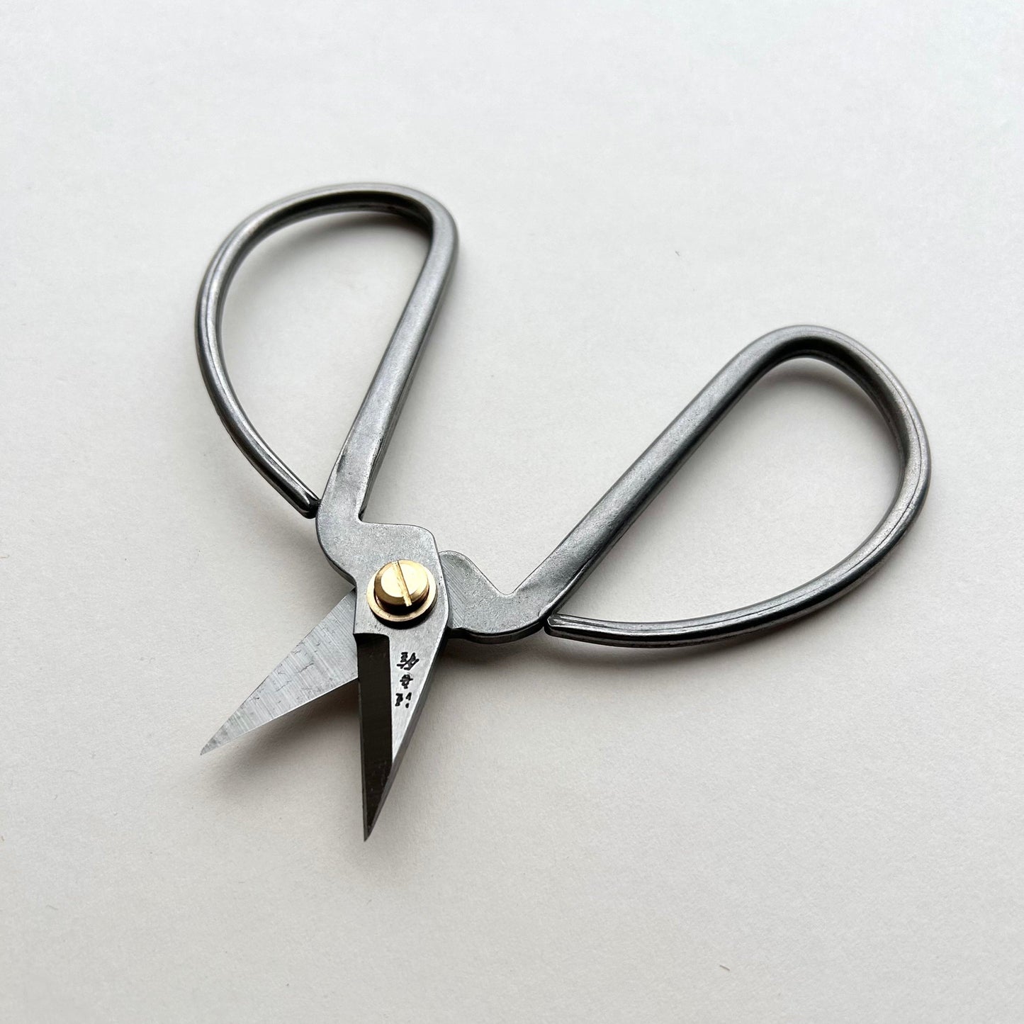 Pair of silver scissors with a gold screw on a light gray background