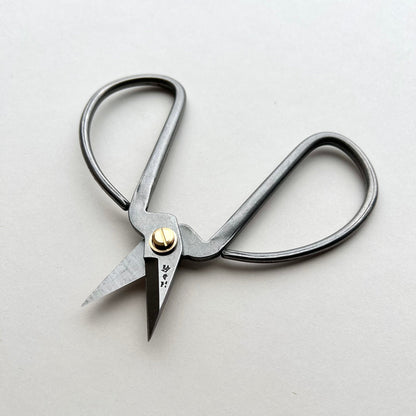 Pair of silver scissors with a gold screw on a light gray background